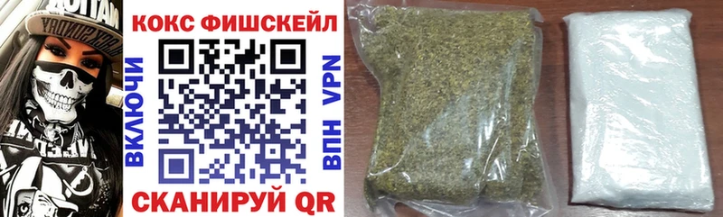 Купить где  Сысерть  COCAIN FishScale 