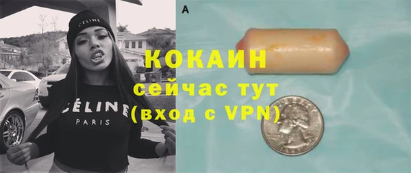 прущая мука Каменка