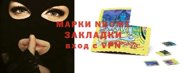 хмурый Каменногорск