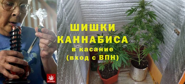 хмурый Каменногорск
