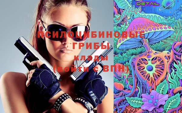 хмурый Каменногорск