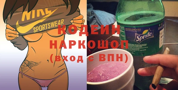 хмурый Каменногорск