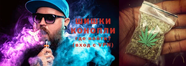 хмурый Каменногорск