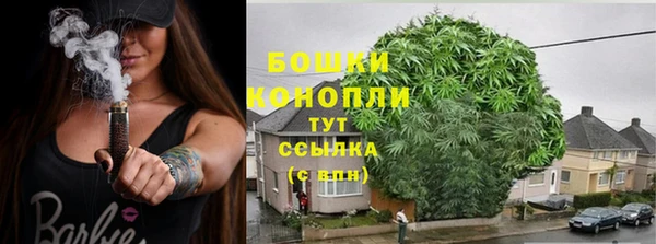 хмурый Каменногорск