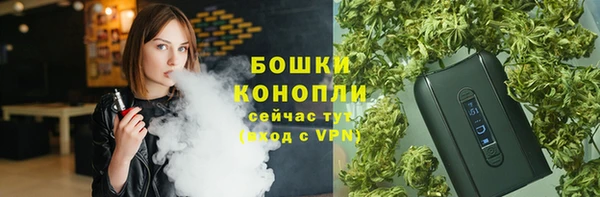 прущая мука Каменка